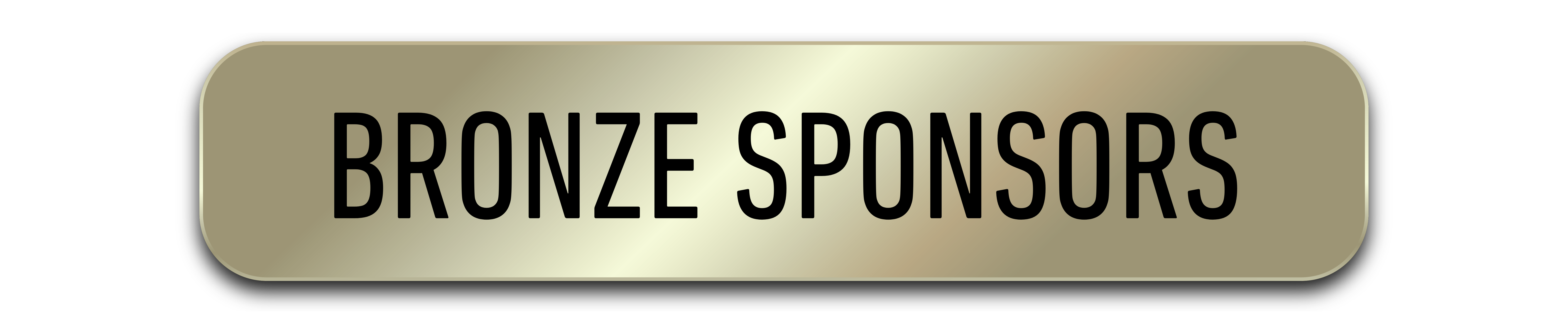 Bronze Sponsors