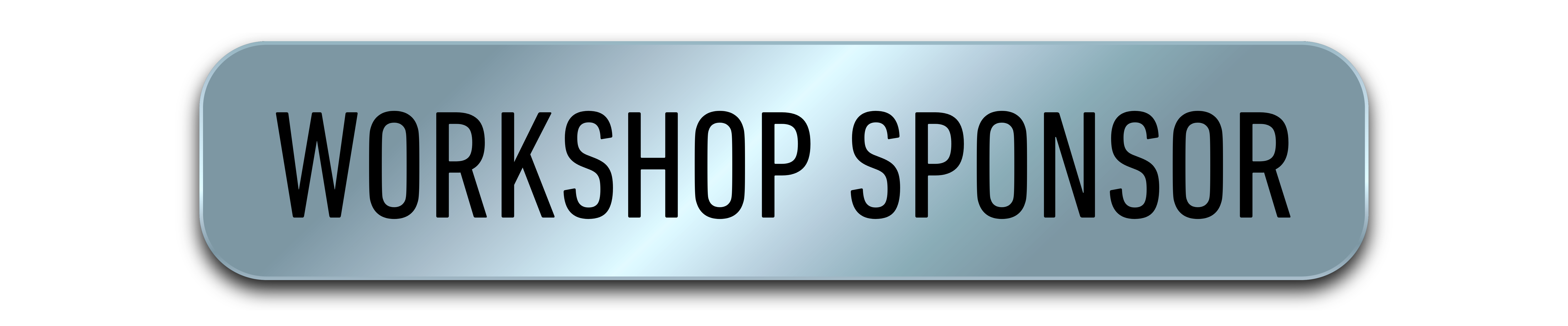 Workshop sponsor