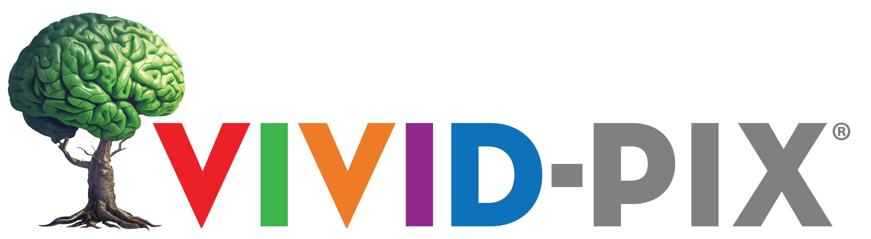 VividPix logo
